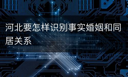 河北要怎样识别事实婚姻和同居关系