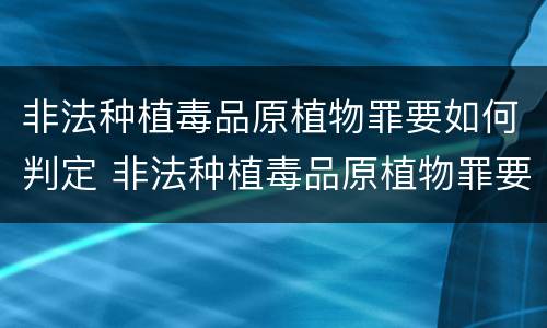 非法种植毒品原植物罪要如何判定 非法种植毒品原植物罪要如何判定罪名