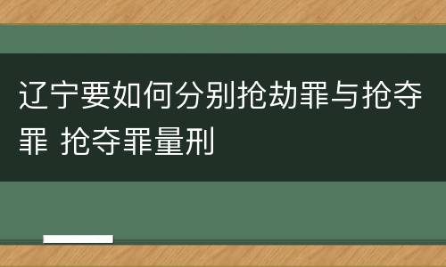 辽宁要如何分别抢劫罪与抢夺罪 抢夺罪量刑
