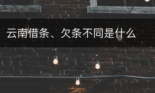 云南借条、欠条不同是什么