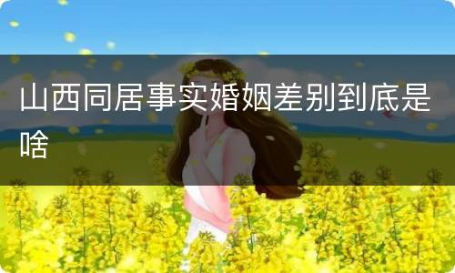 山西同居事实婚姻差别到底是啥