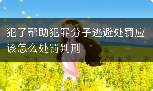 犯了帮助犯罪分子逃避处罚应该怎么处罚判刑