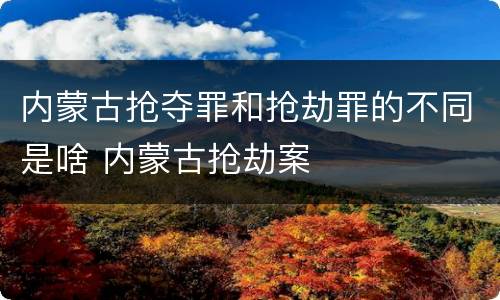内蒙古抢夺罪和抢劫罪的不同是啥 内蒙古抢劫案