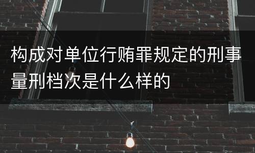 构成对单位行贿罪规定的刑事量刑档次是什么样的