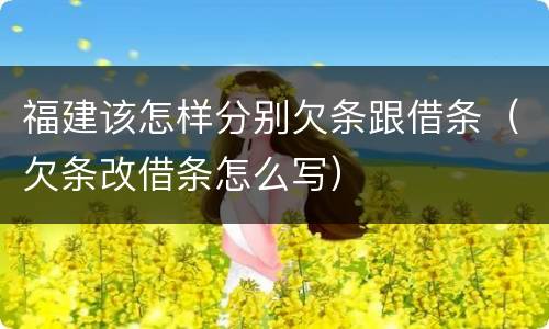 福建该怎样分别欠条跟借条（欠条改借条怎么写）