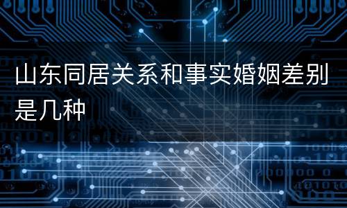 山东同居关系和事实婚姻差别是几种