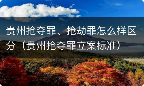 贵州抢夺罪、抢劫罪怎么样区分（贵州抢夺罪立案标准）