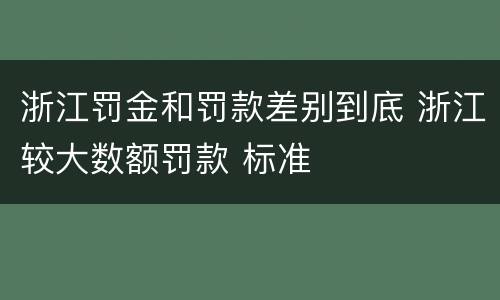 浙江罚金和罚款差别到底 浙江较大数额罚款 标准