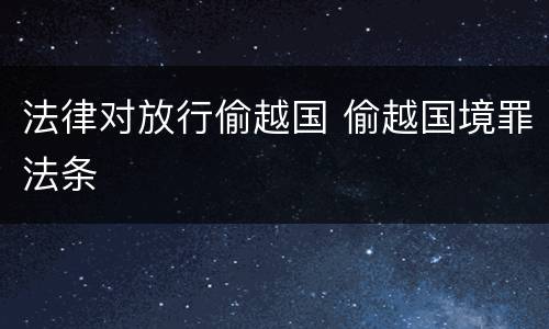 法律对放行偷越国 偷越国境罪法条