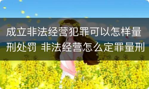 成立非法经营犯罪可以怎样量刑处罚 非法经营怎么定罪量刑
