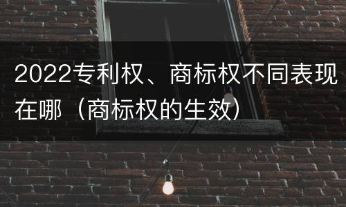 2022专利权、商标权不同表现在哪（商标权的生效）