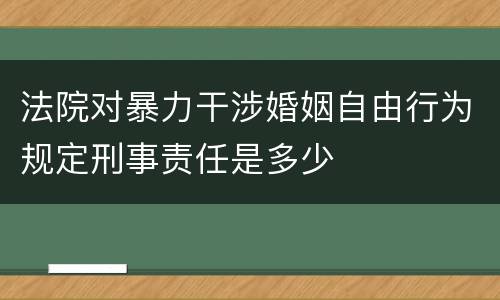 法院对暴力干涉婚姻自由行为规定刑事责任是多少