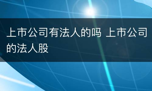 上市公司有法人的吗 上市公司的法人股