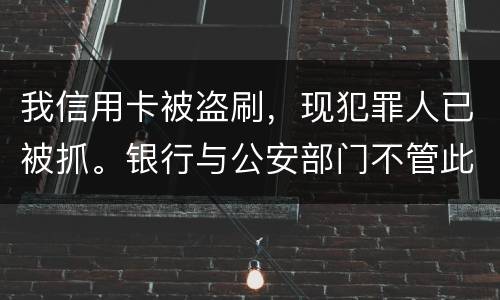 我信用卡被盗刷，现犯罪人已被抓。银行与公安部门不管此事。我如何能取回款项呢项呢