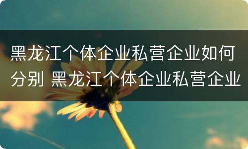 黑龙江个体企业私营企业如何分别 黑龙江个体企业私营企业如何分别纳税
