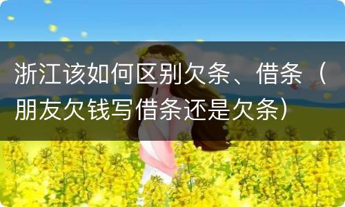 浙江该如何区别欠条、借条（朋友欠钱写借条还是欠条）