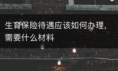 生育保险待遇应该如何办理，需要什么材料