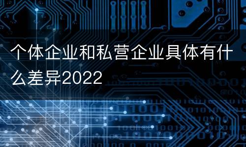 个体企业和私营企业具体有什么差异2022