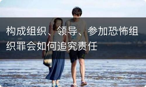 构成组织、领导、参加恐怖组织罪会如何追究责任