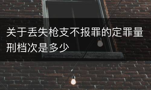 关于丢失枪支不报罪的定罪量刑档次是多少