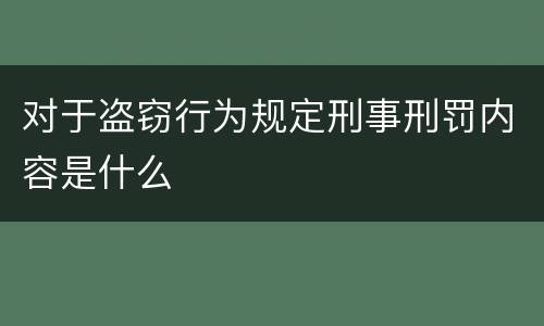 对于盗窃行为规定刑事刑罚内容是什么