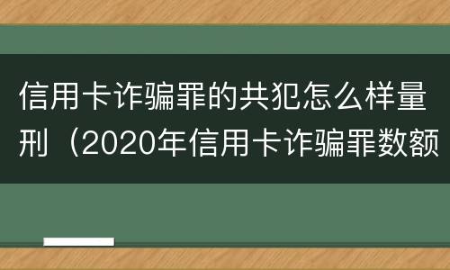 信用卡诈骗罪的共犯怎么样量刑（2020年信用卡诈骗罪数额标准）