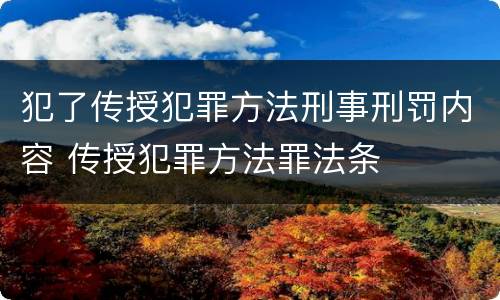 犯了传授犯罪方法刑事刑罚内容 传授犯罪方法罪法条