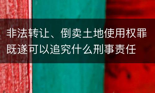 非法转让、倒卖土地使用权罪既遂可以追究什么刑事责任
