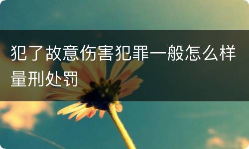 犯了故意伤害犯罪一般怎么样量刑处罚