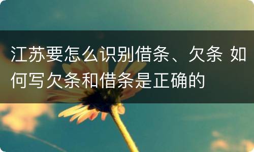 江苏要怎么识别借条、欠条 如何写欠条和借条是正确的