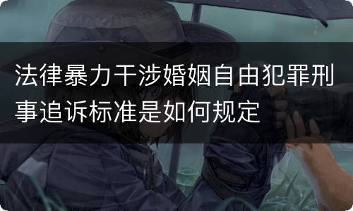 法律暴力干涉婚姻自由犯罪刑事追诉标准是如何规定