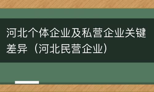 河北个体企业及私营企业关键差异（河北民营企业）