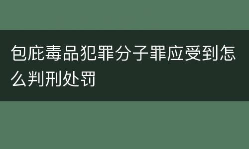 包庇毒品犯罪分子罪应受到怎么判刑处罚