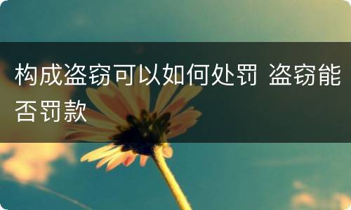 构成盗窃可以如何处罚 盗窃能否罚款