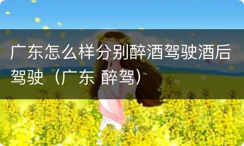 广东怎么样分别醉酒驾驶酒后驾驶（广东 醉驾）