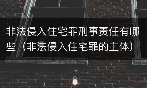 非法侵入住宅罪刑事责任有哪些（非法侵入住宅罪的主体）