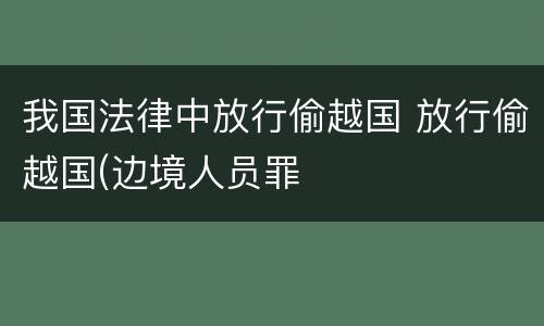 我国法律中放行偷越国 放行偷越国(边境人员罪
