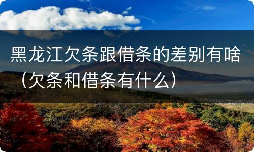 黑龙江欠条跟借条的差别有啥（欠条和借条有什么）