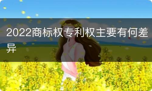 2022商标权专利权主要有何差异