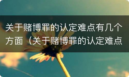关于赌博罪的认定难点有几个方面（关于赌博罪的认定难点有几个方面的问题）