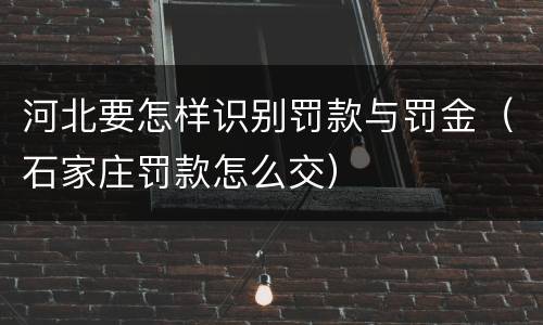 河北要怎样识别罚款与罚金（石家庄罚款怎么交）