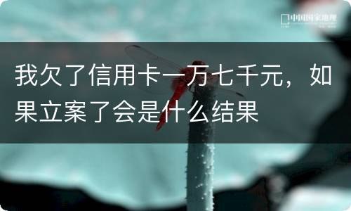 我欠了信用卡一万七千元，如果立案了会是什么结果
