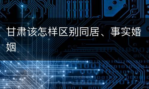 甘肃该怎样区别同居、事实婚姻