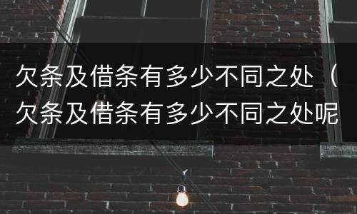 欠条及借条有多少不同之处（欠条及借条有多少不同之处呢）