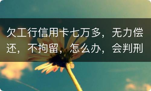 欠工行信用卡七万多，无力偿还，不拘留，怎么办，会判刑吗