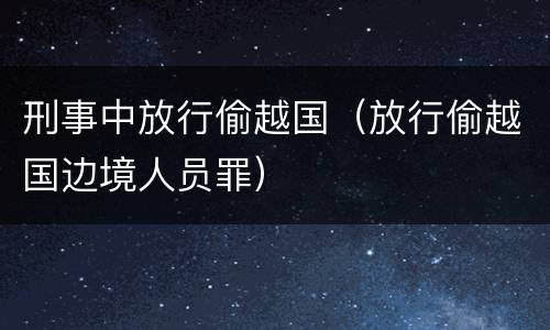 刑事中放行偷越国（放行偷越国边境人员罪）