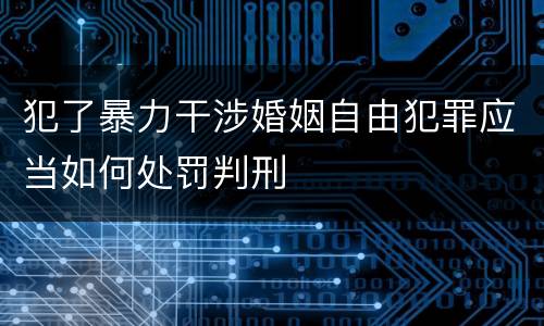 犯了暴力干涉婚姻自由犯罪应当如何处罚判刑