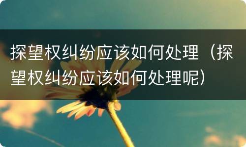 探望权纠纷应该如何处理（探望权纠纷应该如何处理呢）