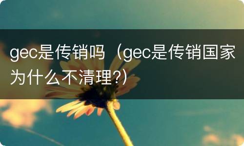 gec是传销吗（gec是传销国家为什么不清理?）