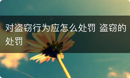 对盗窃行为应怎么处罚 盗窃的处罚